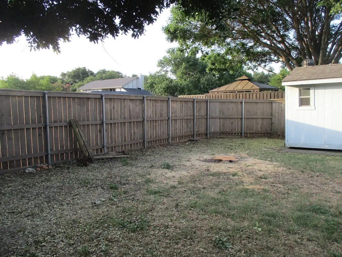 Cleared yard after professional tree removal in West Charleston